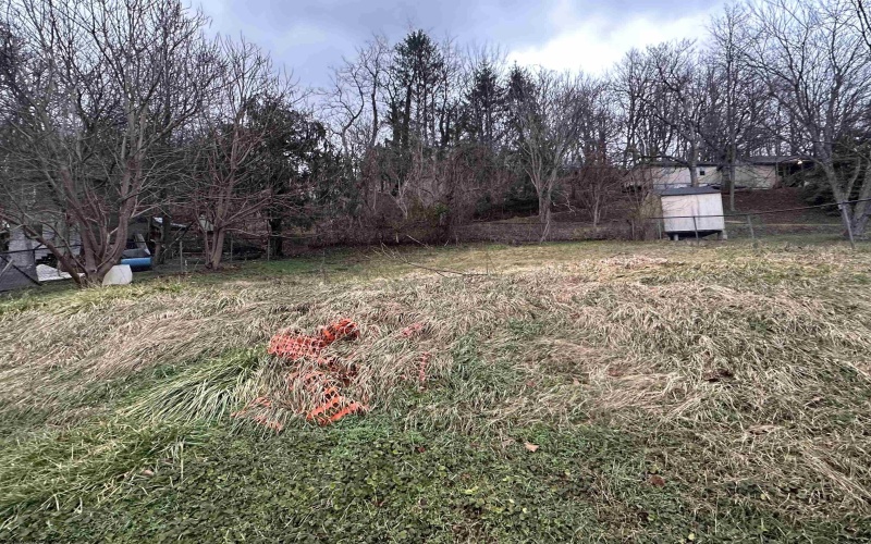 318 Broad Street, Weston, West Virginia 26452, 3 Bedrooms Bedrooms, 6 Rooms Rooms,1 BathroomBathrooms,Single Family Detached,For Sale,Broad,10163075