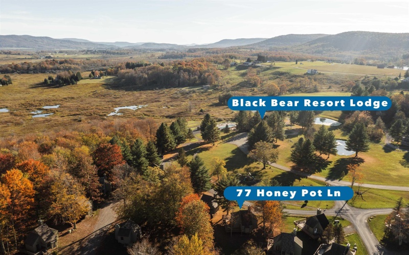 77 Honey Pot Lane, Davis, West Virginia 26260, 2 Bedrooms Bedrooms, 5 Rooms Rooms,1 BathroomBathrooms,Single Family Detached,For Sale,Honey Pot,10164525