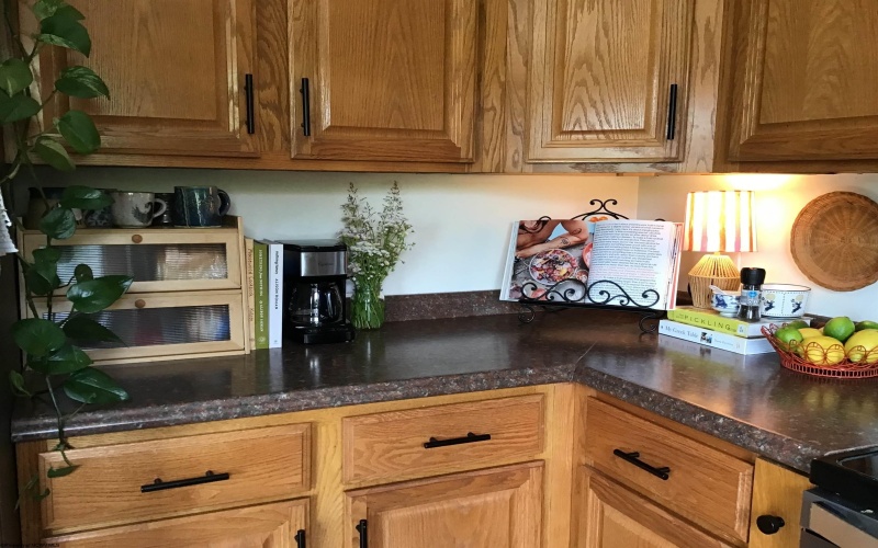176 Evergreen Drive, Buckhannon, West Virginia 26201, 3 Bedrooms Bedrooms, 6 Rooms Rooms,1 BathroomBathrooms,Single Family Detached,For Sale,Evergreen,10164532