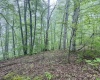 Lot 1 Shortline Highway, Porters Falls, West Virginia 26162, ,Lots/land,For Sale,Shortline,10164035