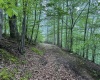 Lot 1 Shortline Highway, Porters Falls, West Virginia 26162, ,Lots/land,For Sale,Shortline,10164035