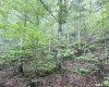 Lot 1 Shortline Highway, Porters Falls, West Virginia 26162, ,Lots/land,For Sale,Shortline,10164035