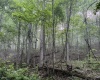 Lot 1 Shortline Highway, Porters Falls, West Virginia 26162, ,Lots/land,For Sale,Shortline,10164035