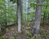 Lot 1 Shortline Highway, Porters Falls, West Virginia 26162, ,Lots/land,For Sale,Shortline,10164035