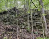 Lot 1 Shortline Highway, Porters Falls, West Virginia 26162, ,Lots/land,For Sale,Shortline,10164035