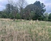 TBD Chenoweth Creek Road, Elkins, West Virginia 26241, ,Lots/land,For Sale,Chenoweth Creek,10164542