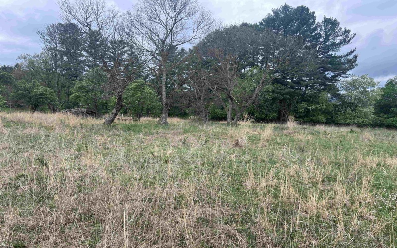 TBD Chenoweth Creek Road, Elkins, West Virginia 26241, ,Lots/land,For Sale,Chenoweth Creek,10164542
