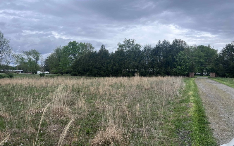 TBD Chenoweth Creek Road, Elkins, West Virginia 26241, ,Lots/land,For Sale,Chenoweth Creek,10164542