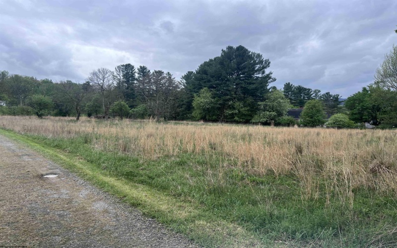 TBD Chenoweth Creek Road, Elkins, West Virginia 26241, ,Lots/land,For Sale,Chenoweth Creek,10164542