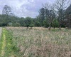 TBD Chenoweth Creek Road, Elkins, West Virginia 26241, ,Lots/land,For Sale,Chenoweth Creek,10164542