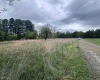 TBD Chenoweth Creek Road, Elkins, West Virginia 26241, ,Lots/land,For Sale,Chenoweth Creek,10164542