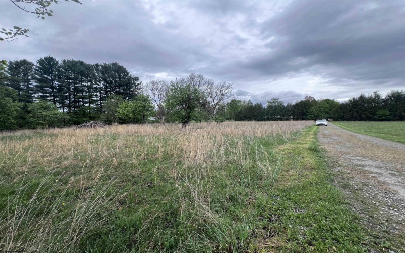 TBD Chenoweth Creek Road, Elkins, West Virginia 26241, ,Lots/land,For Sale,Chenoweth Creek,10164542