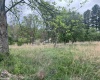 TBD Chenoweth Creek Road, Elkins, West Virginia 26241, ,Lots/land,For Sale,Chenoweth Creek,10164542