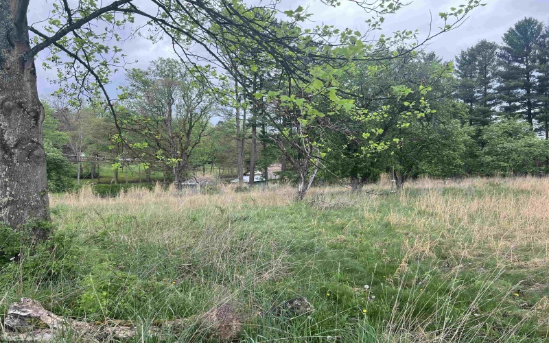 TBD Chenoweth Creek Road, Elkins, West Virginia 26241, ,Lots/land,For Sale,Chenoweth Creek,10164542