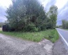 TBD Chenoweth Creek Road, Elkins, West Virginia 26241, ,Lots/land,For Sale,Chenoweth Creek,10164542