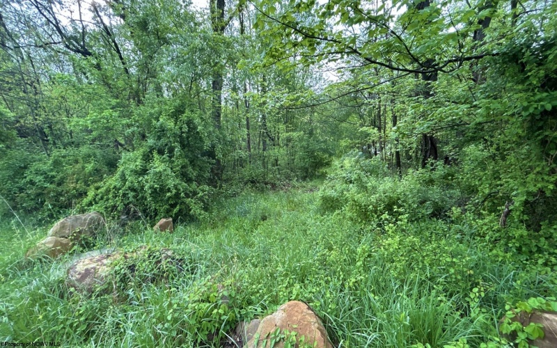 TBD Sullivan Road, Morgantown, West Virginia 26501, ,Lots/land,For Sale,Sullivan,10164549