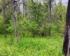 TBD Sullivan Road, Morgantown, West Virginia 26501, ,Lots/land,For Sale,Sullivan,10164549