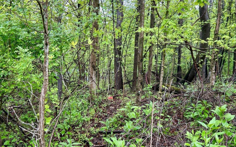 TBD Sullivan Road, Morgantown, West Virginia 26501, ,Lots/land,For Sale,Sullivan,10164549