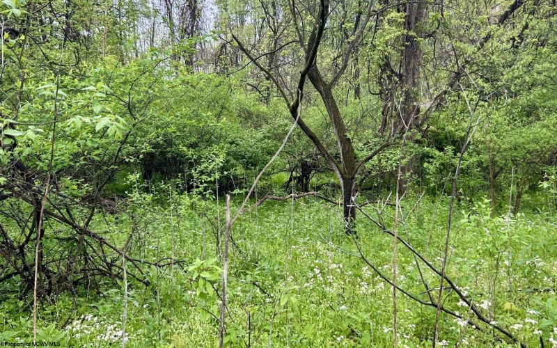 TBD Sullivan Road, Morgantown, West Virginia 26501, ,Lots/land,For Sale,Sullivan,10164549