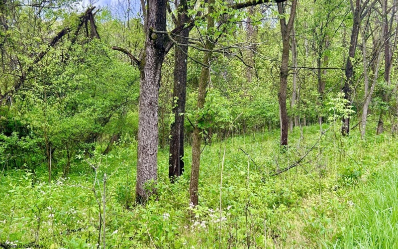 TBD Sullivan Road, Morgantown, West Virginia 26501, ,Lots/land,For Sale,Sullivan,10164549