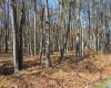181 E Alpine Drive, Terra Alta, West Virginia 26764, ,Lots/land,For Sale,E Alpine,10164556