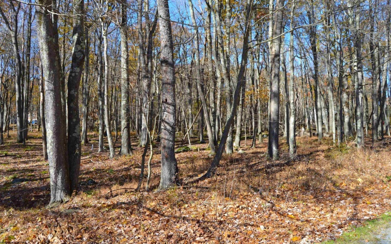 181 E Alpine Drive, Terra Alta, West Virginia 26764, ,Lots/land,For Sale,E Alpine,10164556