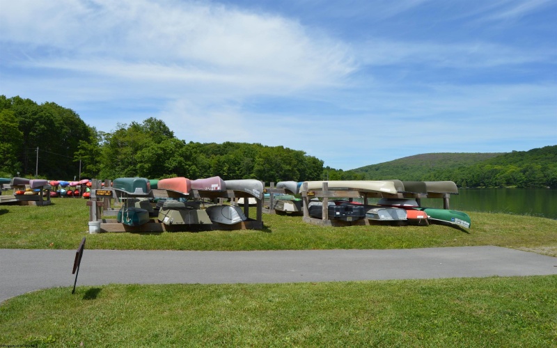 181 E Alpine Drive, Terra Alta, West Virginia 26764, ,Lots/land,For Sale,E Alpine,10164556