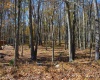 181 E Alpine Drive, Terra Alta, West Virginia 26764, ,Lots/land,For Sale,E Alpine,10164556