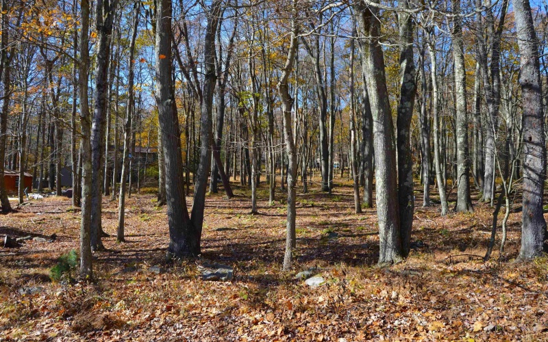 181 E Alpine Drive, Terra Alta, West Virginia 26764, ,Lots/land,For Sale,E Alpine,10164556