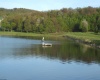 181 E Alpine Drive, Terra Alta, West Virginia 26764, ,Lots/land,For Sale,E Alpine,10164556