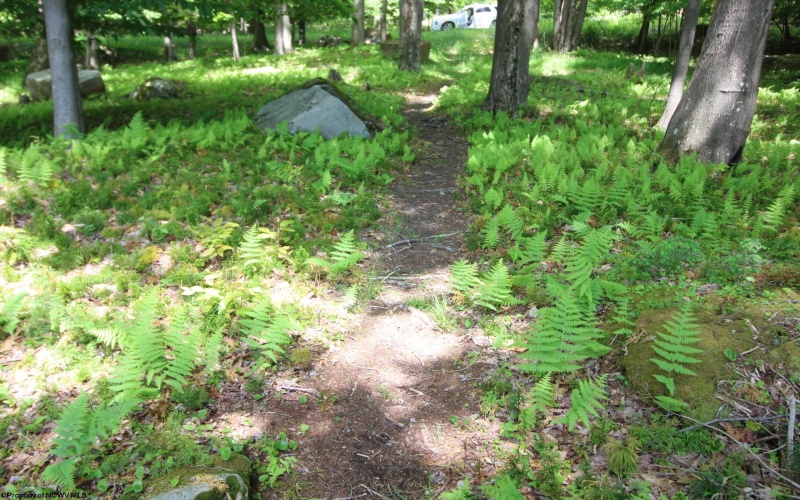 181 E Alpine Drive, Terra Alta, West Virginia 26764, ,Lots/land,For Sale,E Alpine,10164556