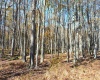 181 E Alpine Drive, Terra Alta, West Virginia 26764, ,Lots/land,For Sale,E Alpine,10164556
