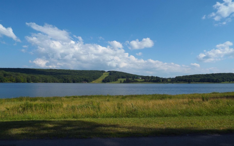 181 E Alpine Drive, Terra Alta, West Virginia 26764, ,Lots/land,For Sale,E Alpine,10164556