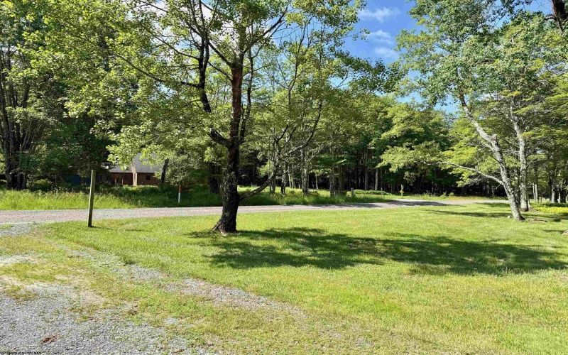 199 Maple Lane, Davis, West Virginia 26260-000, 3 Bedrooms Bedrooms, 7 Rooms Rooms,2 BathroomsBathrooms,Single Family Detached,For Sale,Maple,10164563