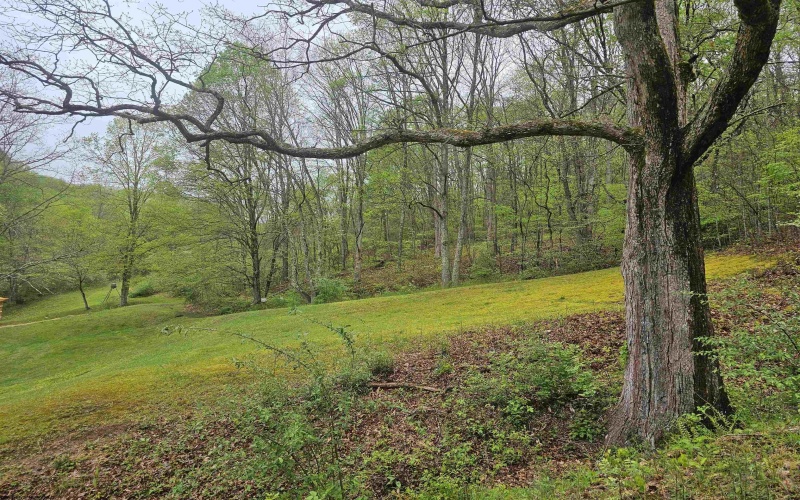 402 Battle Run Road, Wallace, West Virginia 26448, 3 Bedrooms Bedrooms, 5 Rooms Rooms,2 BathroomsBathrooms,Single Family Detached,For Sale,Battle Run,10164560