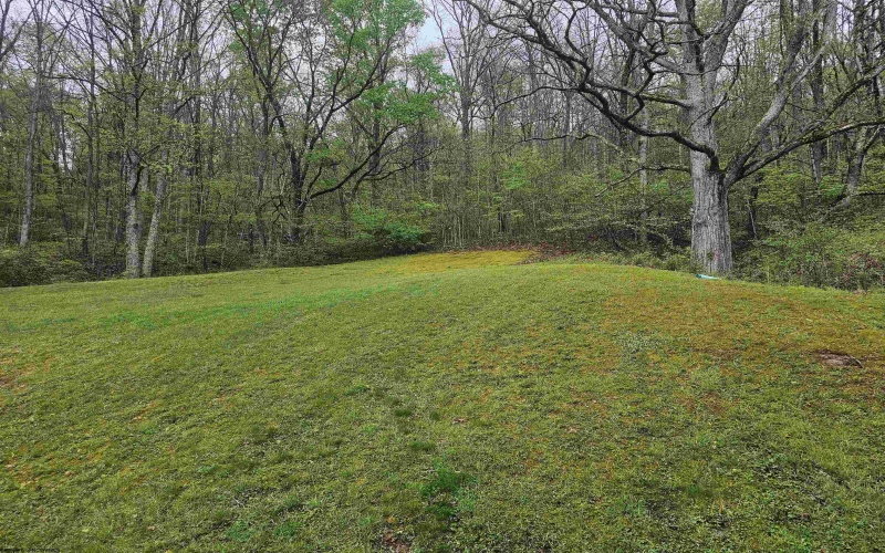 402 Battle Run Road, Wallace, West Virginia 26448, 3 Bedrooms Bedrooms, 5 Rooms Rooms,2 BathroomsBathrooms,Single Family Detached,For Sale,Battle Run,10164560