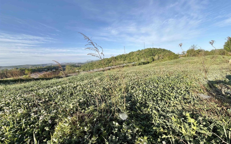 TBD Pike Street, Clarksburg, West Virginia 26301, ,Lots/land,For Sale,Pike,10164565