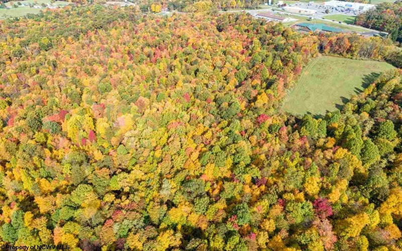 17688 Veterans Memorial Highway, Kingwood, West Virginia 26537, ,Lots/land,For Sale,Veterans Memorial,10164626