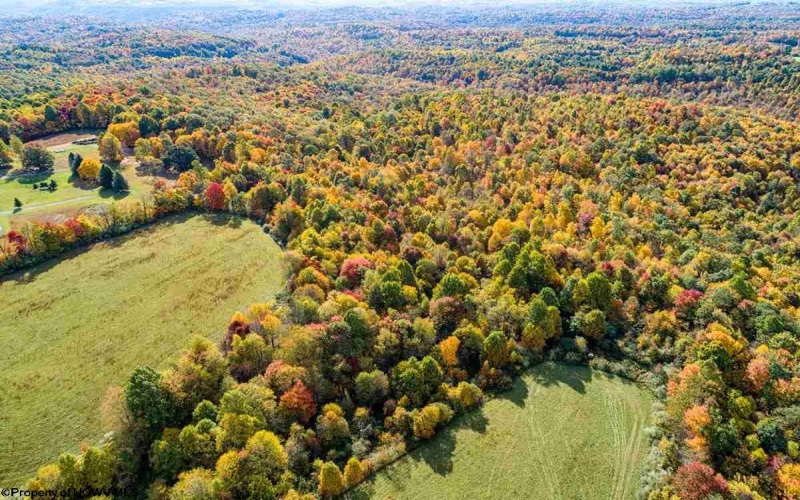 17688 Veterans Memorial Highway, Kingwood, West Virginia 26537, ,Lots/land,For Sale,Veterans Memorial,10164626