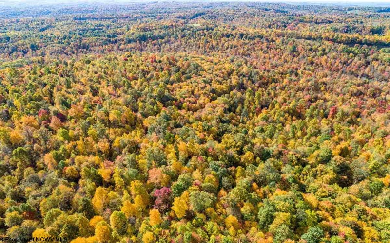 17688 Veterans Memorial Highway, Kingwood, West Virginia 26537, ,Lots/land,For Sale,Veterans Memorial,10164626