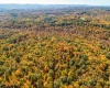 17688 Veterans Memorial Highway, Kingwood, West Virginia 26537, ,Lots/land,For Sale,Veterans Memorial,10164626