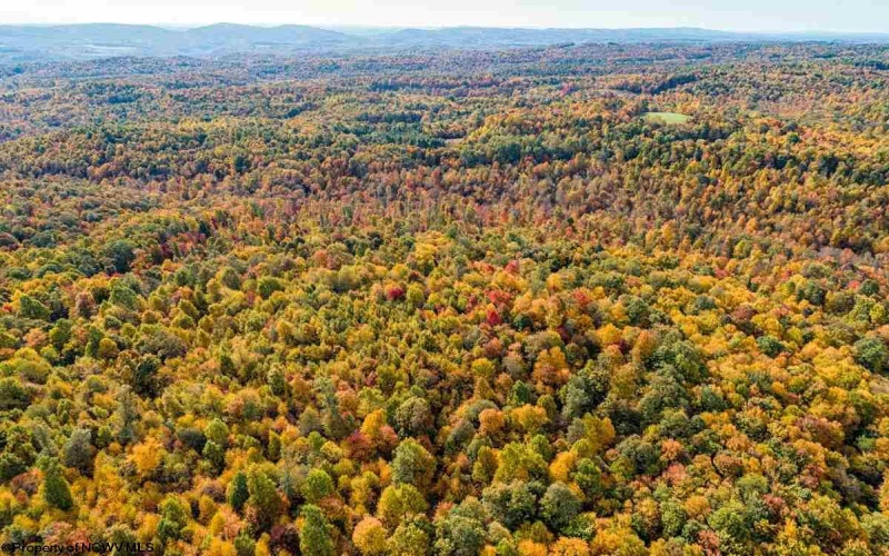 17688 Veterans Memorial Highway, Kingwood, West Virginia 26537, ,Lots/land,For Sale,Veterans Memorial,10164626