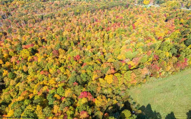 17688 Veterans Memorial Highway, Kingwood, West Virginia 26537, ,Lots/land,For Sale,Veterans Memorial,10164626