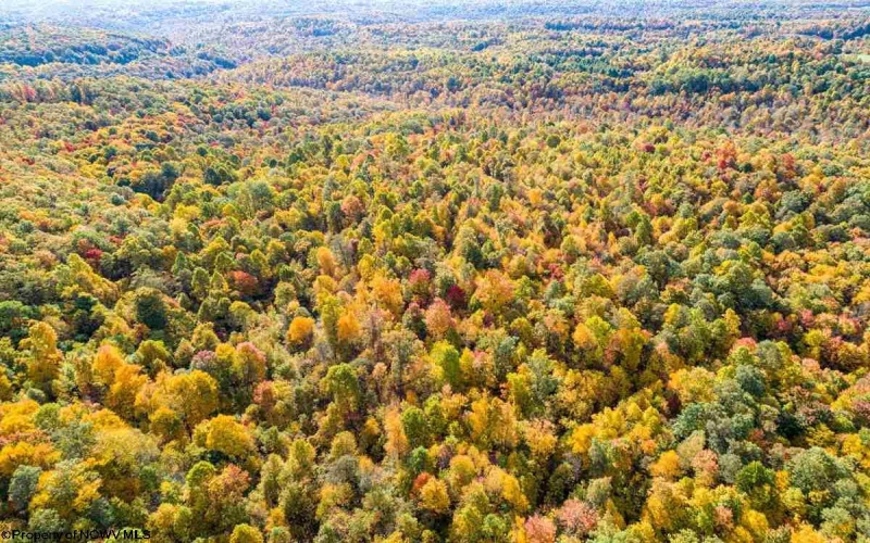 17688 Veterans Memorial Highway, Kingwood, West Virginia 26537, ,Lots/land,For Sale,Veterans Memorial,10164626