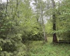 Lot 76 Bassilla Way, Davis, West Virginia 26260, ,Lots/land,For Sale,Bassilla,10164635