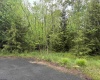 Lot 76 Bassilla Way, Davis, West Virginia 26260, ,Lots/land,For Sale,Bassilla,10164635