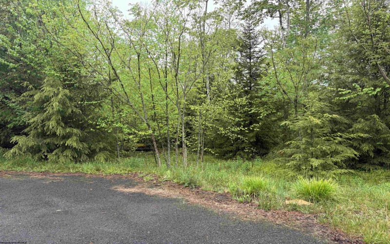 Lot 76 Bassilla Way, Davis, West Virginia 26260, ,Lots/land,For Sale,Bassilla,10164635