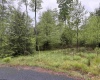 Lot 76 Bassilla Way, Davis, West Virginia 26260, ,Lots/land,For Sale,Bassilla,10164635