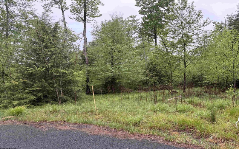 Lot 76 Bassilla Way, Davis, West Virginia 26260, ,Lots/land,For Sale,Bassilla,10164635