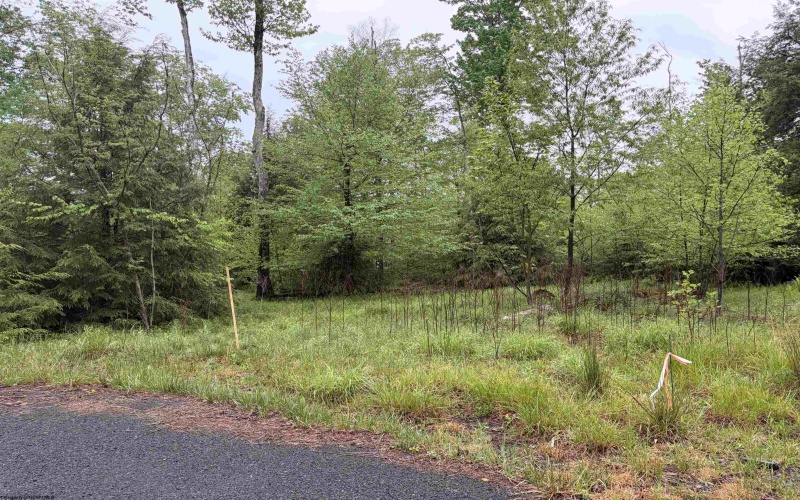 Lot 76 Bassilla Way, Davis, West Virginia 26260, ,Lots/land,For Sale,Bassilla,10164635